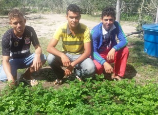 Seminário Municipal da Juventude do Campo será realizado em Conceição do Coité