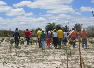 Caravana do Sertão do São Francisco visita propriedade de Técnica da FATRES em Valente