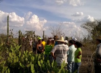 São Domingos, Queimadas e Santa Luz recebem seminário de Produção Intensiva de Leite a Pasto