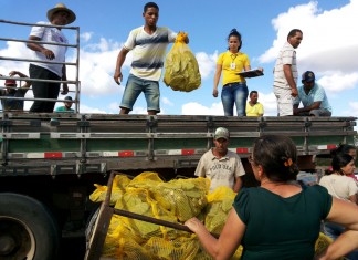 100 mil mudas de palma são distribuídas para agricultores (as) familiares de Valente