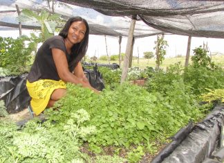Mais de 500 Agricultoras vão receber ATER com o projeto SerTão Cidadãs