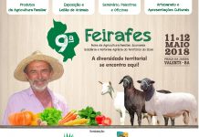 Encerradas as Inscrições para Oficinas e Exposição na 9ª Feirafes – Veja a programação completa