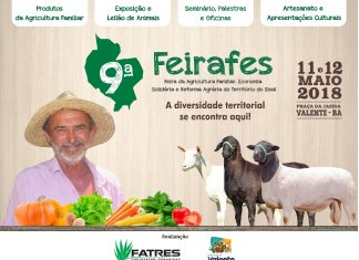 Encerradas as Inscrições para Oficinas e Exposição na 9ª Feirafes – Veja a programação completa