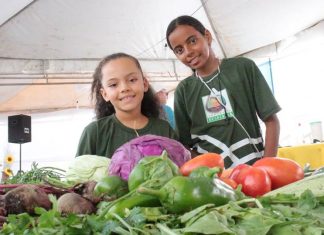 STRAF de Queimadas realiza a II Feira da Agricultura Familiar neste final de semana