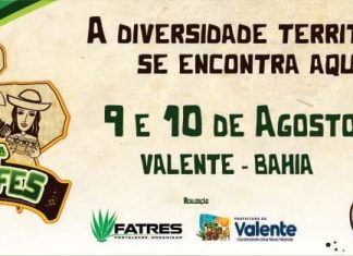 Já estão abertas as inscrições para exposição na 10ª FEIRAFES 2019