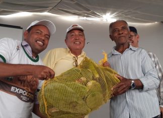 200 mil raquetes de palma forrageira são entregue para agricultores (as) de Conceição do Coité