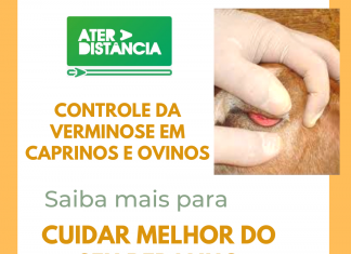 Controle da Verminose em Caprinos e Ovinos