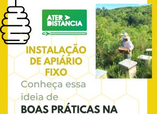 INSTALAÇÃO DE APIÁRIO FIXO