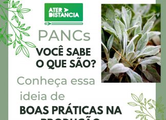 BOLETIM PANCs