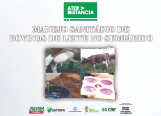 Manejo Sanitário de Bovinos