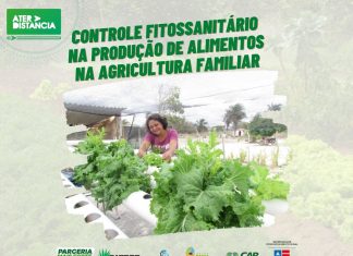 Controle Fitossanitário na Produção de Alimentos