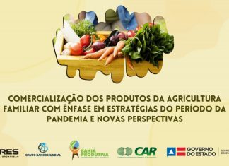 Comercialização dos produtos da agricultura familiar com ênfase em estratégias do período da pandemia e novas perspectivas