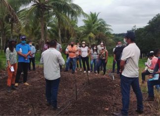 Oficina de Formação Produzir Orgânico com Rentabilidade
