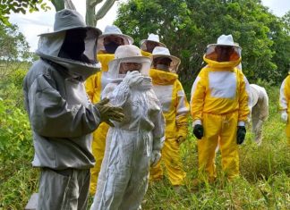 Palestras sobre sanidade das abelhas para apicultores e meliponicultores